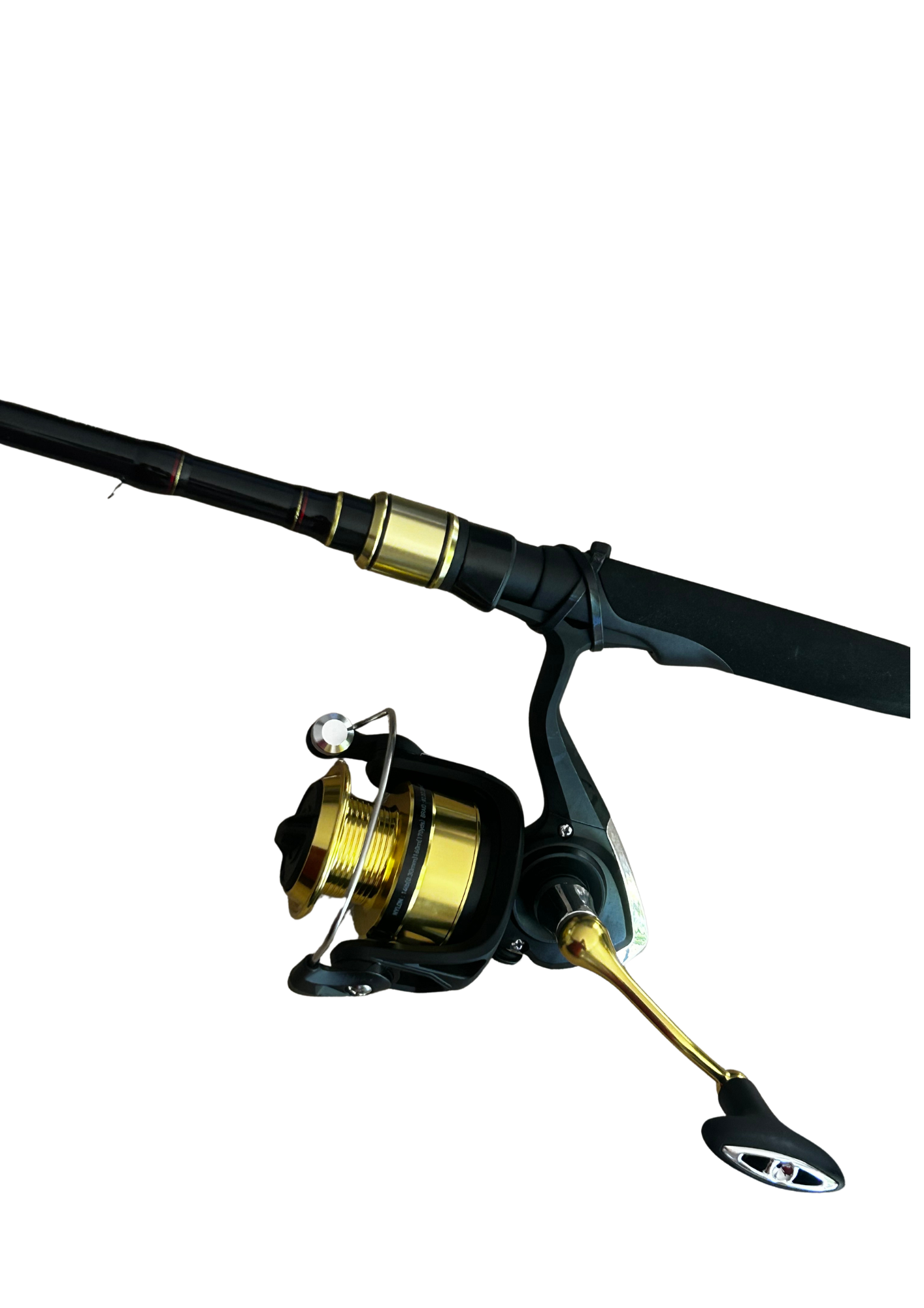 Pack Daiwa RS Canne + Moulinet