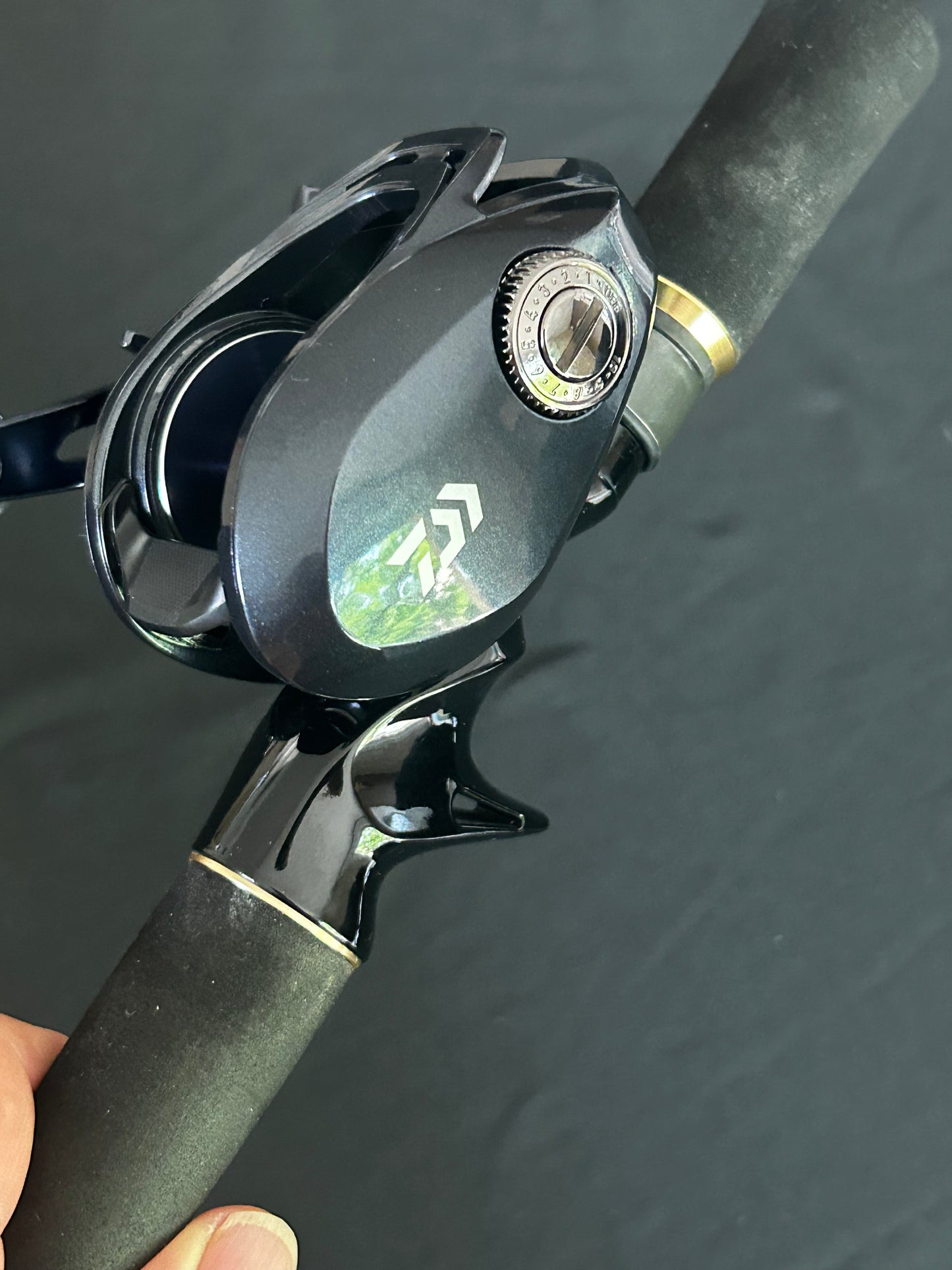 Moulinet Casting Daiwa Lexa-HD 300HSL-P
