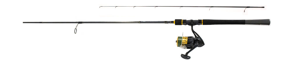 Pack Daiwa Strikeforce Canne + Moulinet Tressé